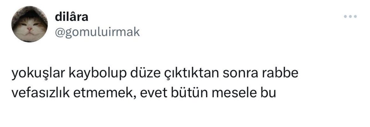 kubyzci's tweet photo. @affraze https://t.co/kyIx9SMWOt