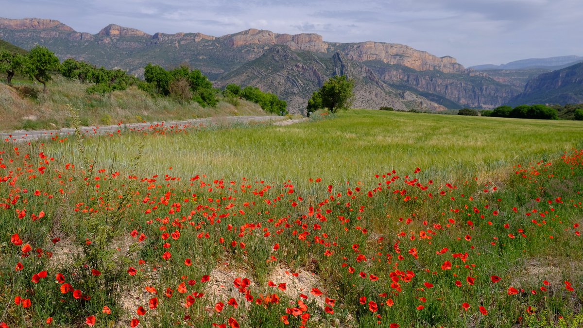 Genau so mag ich das! Spektakuläre Landschaft.
Roadtrip von Barcelona nach El Pont de Suert, Spanien.
In 3 Tagen geht es weiter.