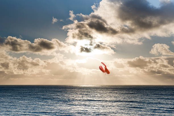 The Lobster is answering The Call to Ascension.