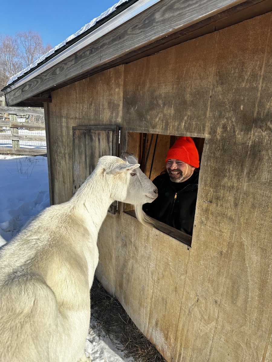 Woodstock Farm Sanctuary tweet media