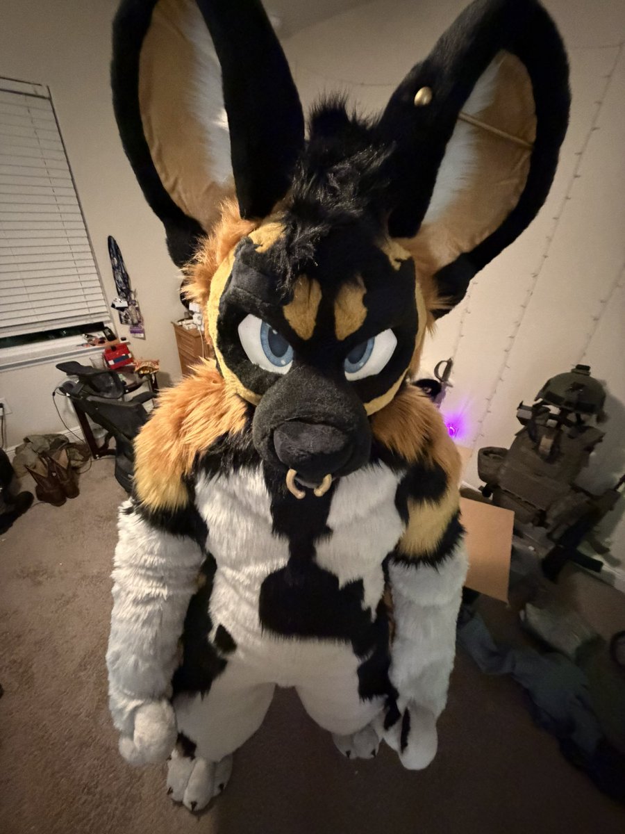 AmbulanceDog 🔜 TFF/FWA/MP tweet media