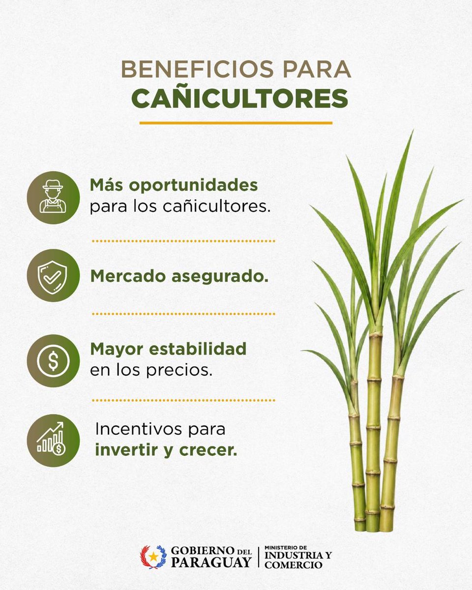 MIC_PY's tweet image. #MIC | Nuevo Decreto de Etanol 

La medida define un modelo de país basado en la industrialización, el reemplazo de importaciones y la generación de valor a la materia prima nacional. 📌

Conocé más: 📝

#GobiernoDelParaguay