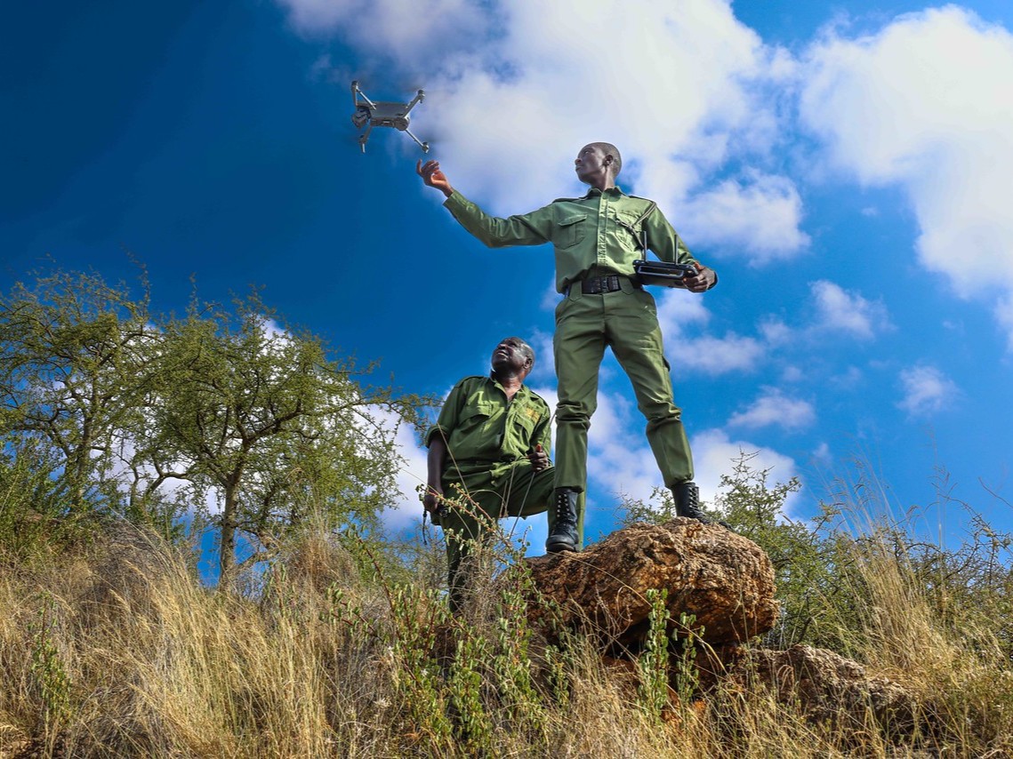 Lewa Wildlife Conservancy tweet media