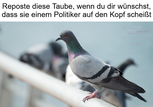 Der rosarote Panzer tweet media