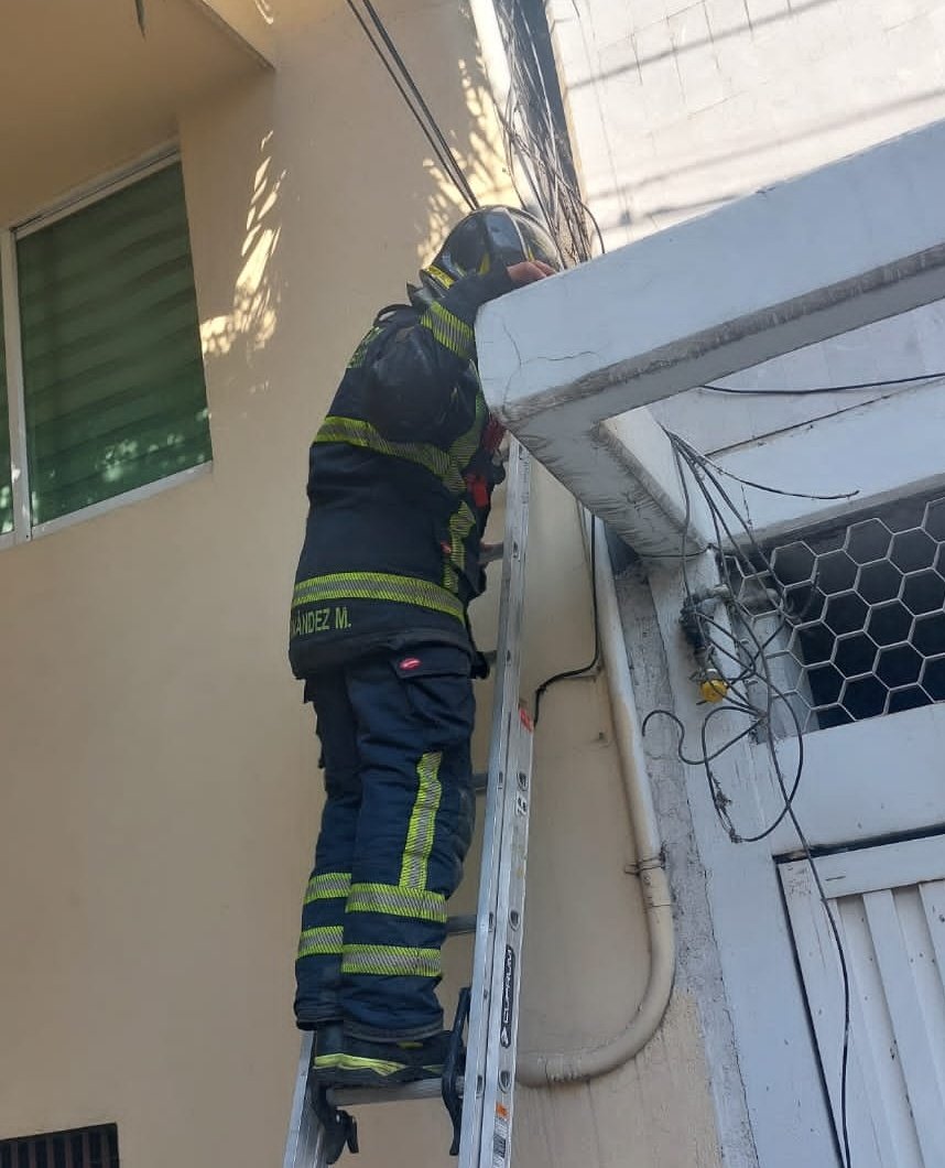 Bomberos Ciudad de México Oficial tweet media