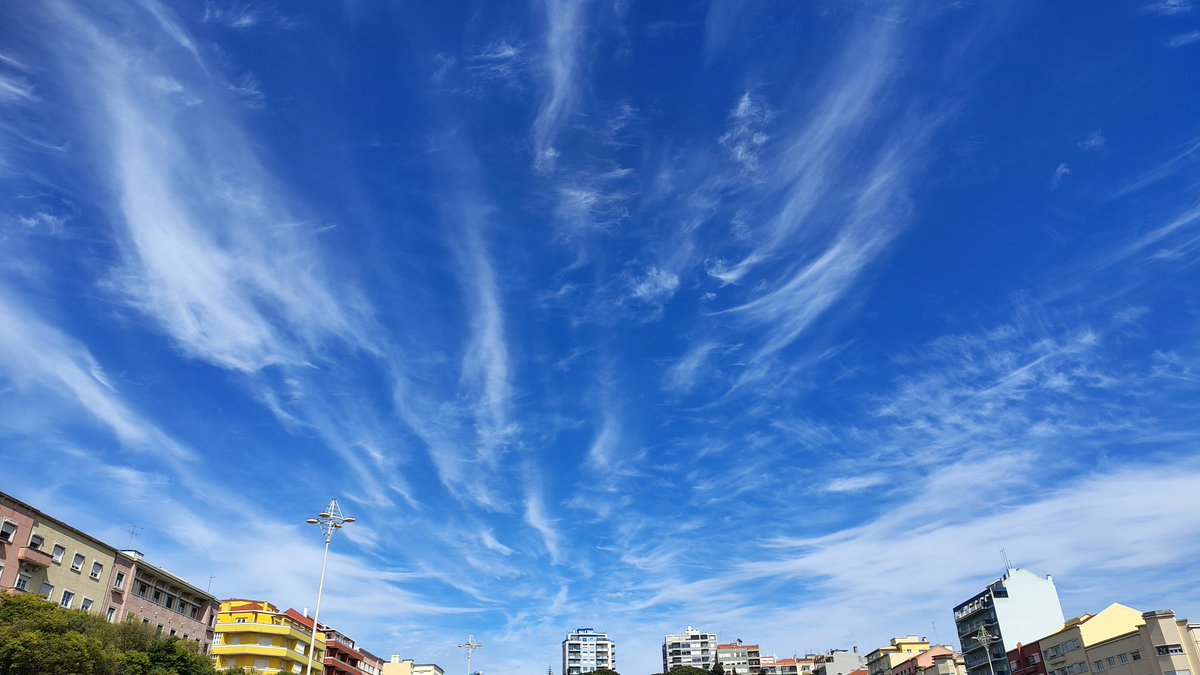 24naf's tweet image. Marchas de celebração do Dia do Trabalhador: Normal.
O céu sobre #Lisboa #Lisbon neste estado... Não é normal.
#olhemparacima
Assina a petição:
peticaopublica.com/mobile/pview.a…
GEOENGENHARIA ATMOSFÉRICA E ACTIVIDADES DE MODIFICAÇÃO CLIMÁTICA