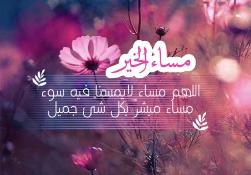 نوف tweet media