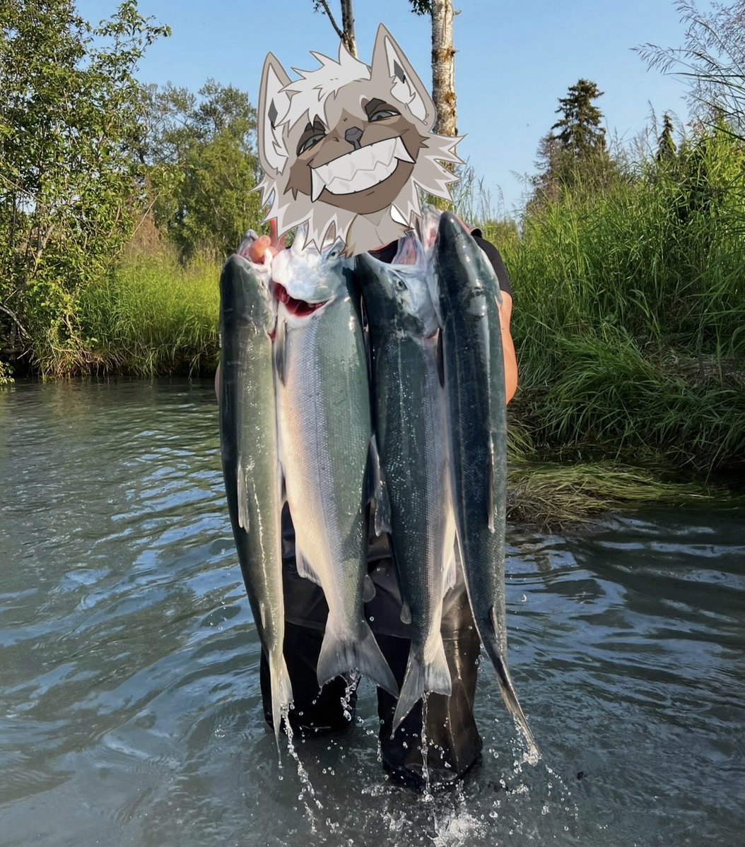 Trout tweet media