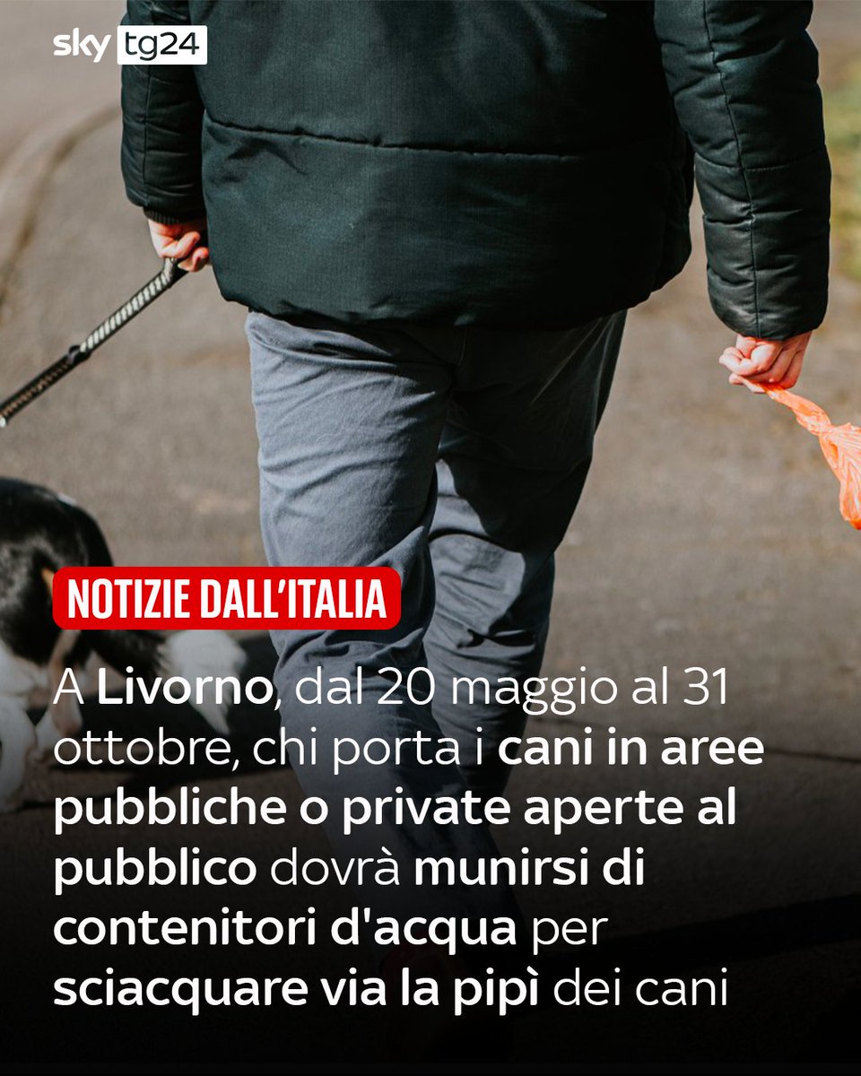 Sky tg24 tweet media