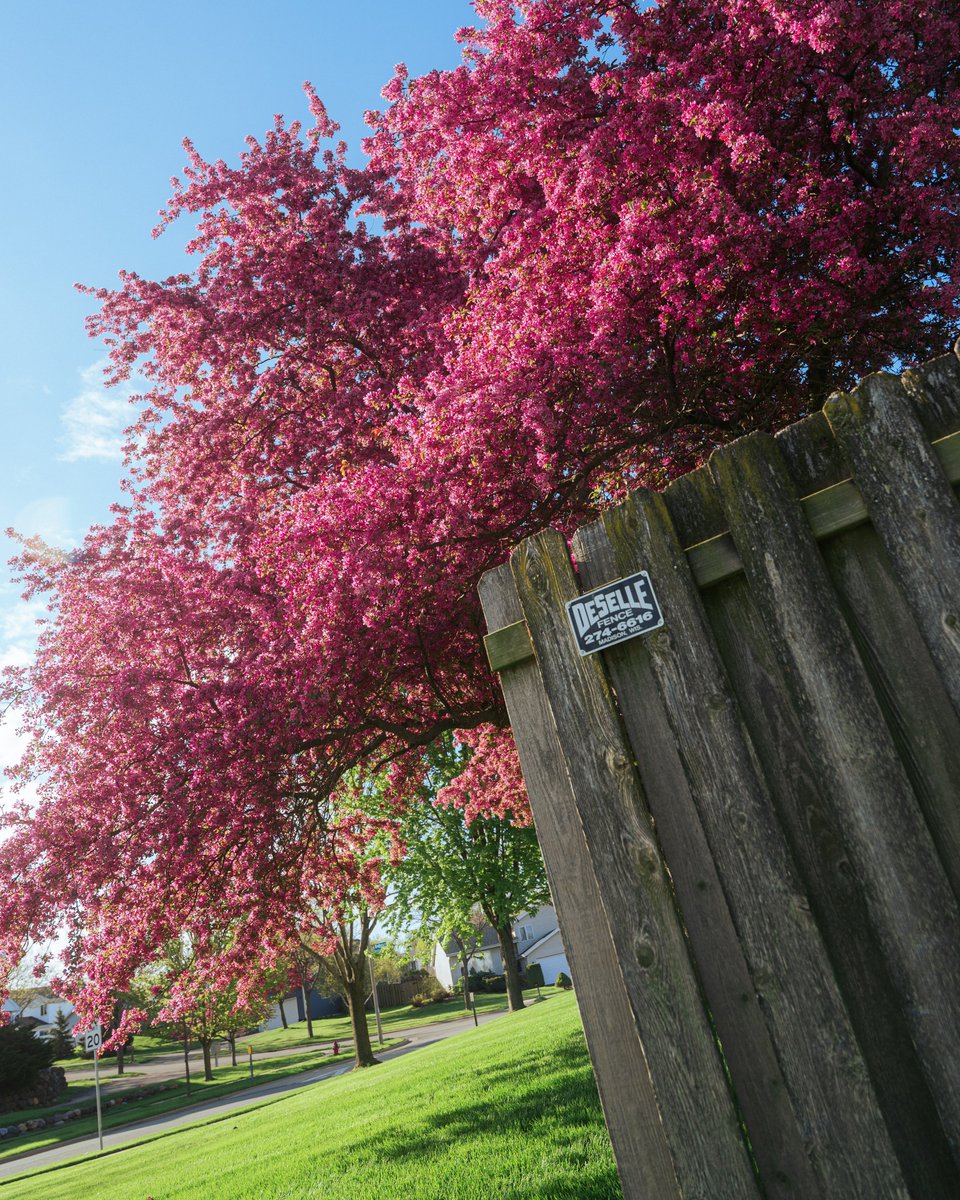 Photos I took this morning