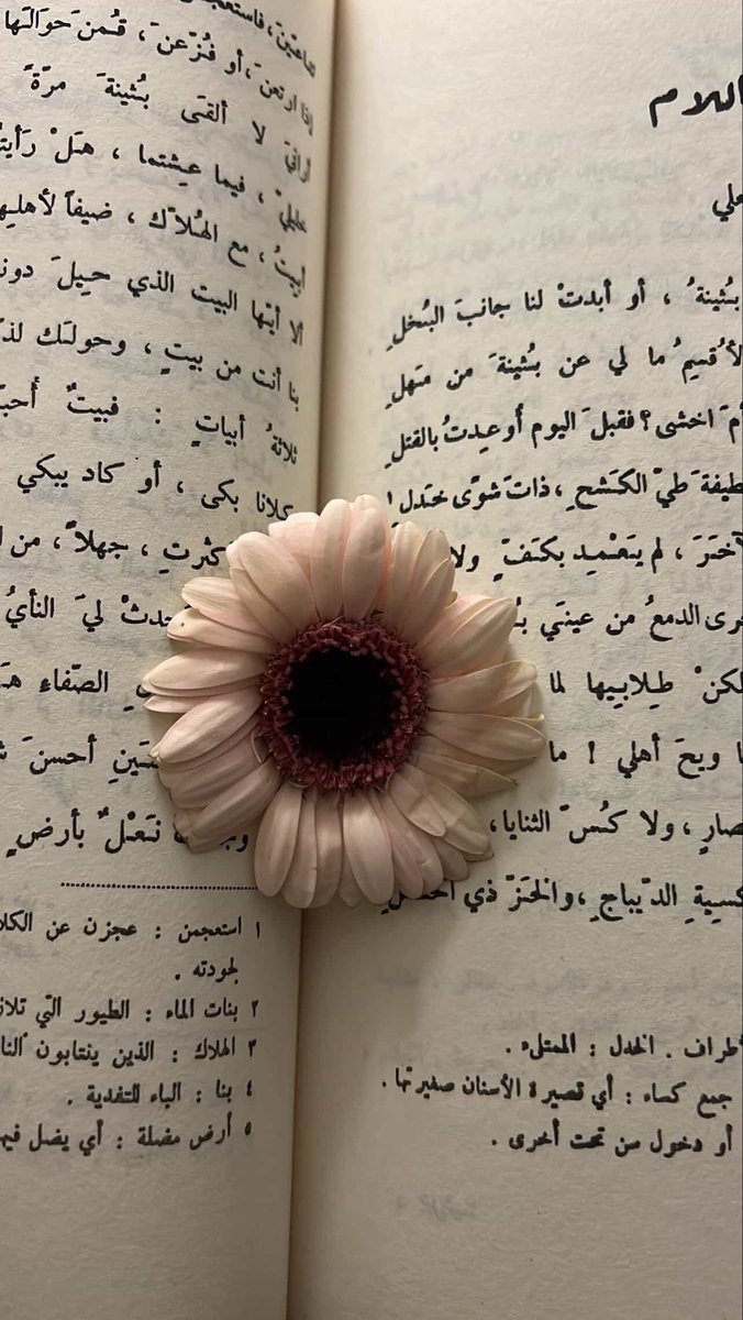 - tweet media