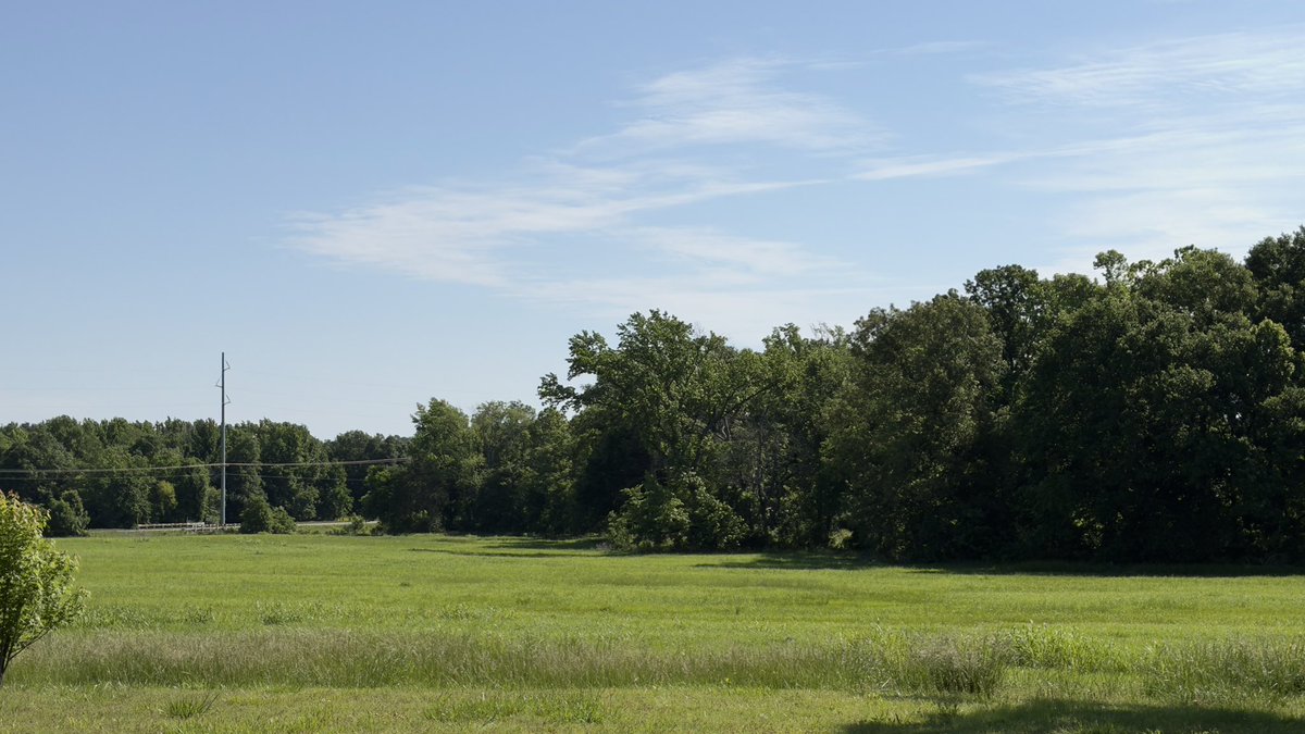 Pamalamiam's tweet image. #TGIF everyone!!  Starting off a nice sunny day here. My front 40 forage grasses are shaping up nicely!! #SLFarm #Friday