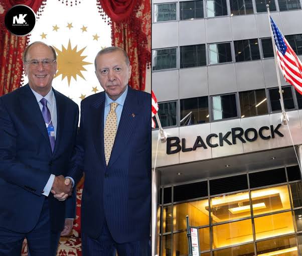 🇹🇷 TOLGA ÖZÇELİK 🇹🇷 tweet media
