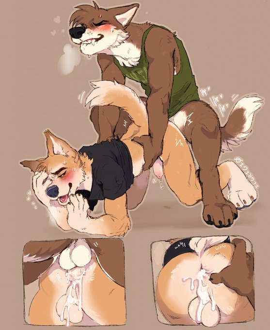 Mark The Furry ( Offline till Monday ) tweet media