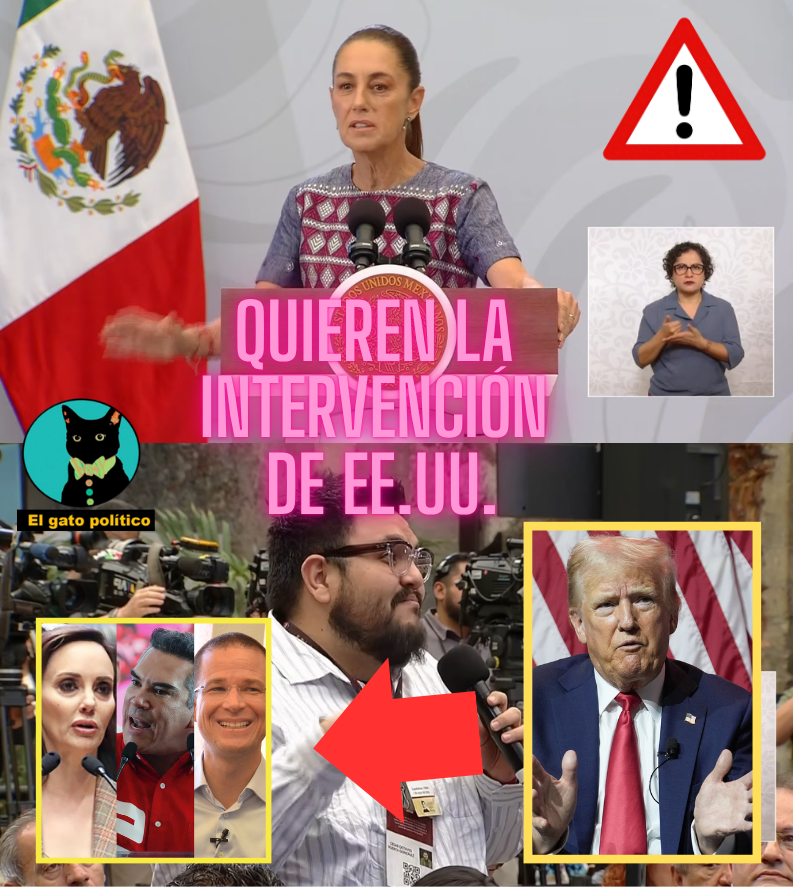 El gato político tweet media