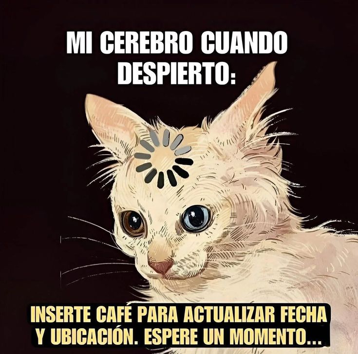 AgaveMichi's tweet image. Días
@dandelafuente
#video #handmade #trend #hechoamano #jewelry #smallbusiness #shorts #gold #reels #accessories #fypシ゚ #ViernesDeCrueldad