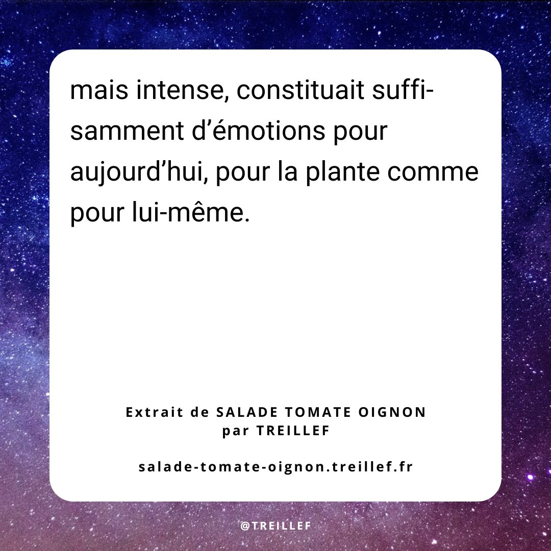 treillef's tweet photo. 👽 Premier contact. 🌱
📘 Extrait de Salade tomate oignon 🥙 Plus d'infos : https://t.co/EMfKXVTXwv 🚀
#roman #saladetomateoignon #satire #livre #lecture #plante #communication #sociabilité #thérapie https://t.co/OX0e0DARNI