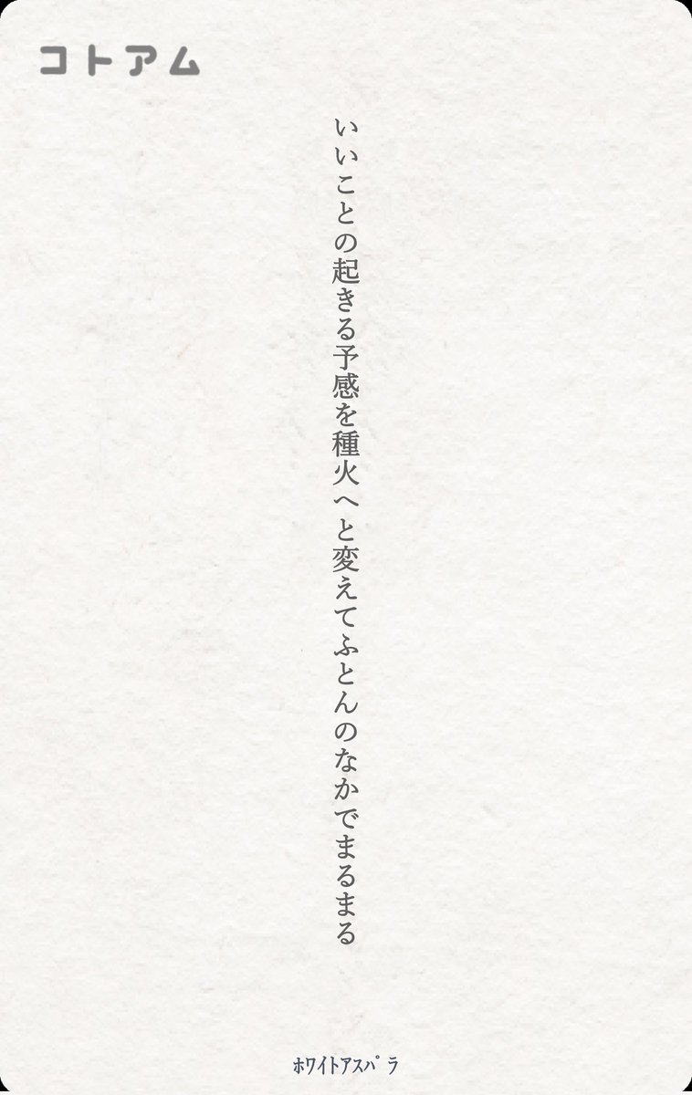 ﾎﾜｲﾄｱｽﾊﾟﾗ tweet media