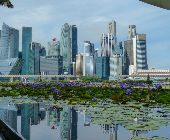 ActX's tweet photo. Precision medicine continues to expand worldwide. Singapore recently launched the next phase of it's national program, enrolling up to 450,000 patients to build a genomic database and deliver care at scale.

Learn more:
https://t.co/FdZAj7C5cc https://t.co/5dxb9SFROd