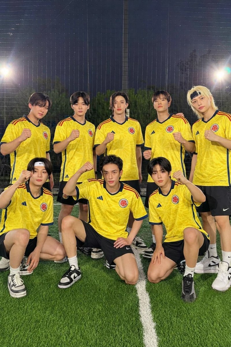 Stray Kids Colombia tweet media