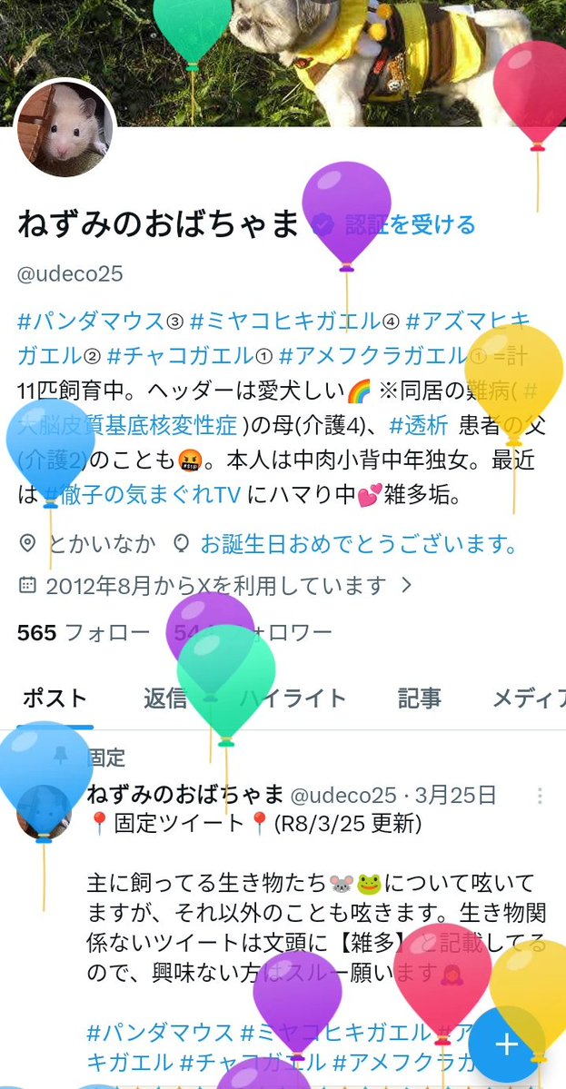 ねずみのおばちゃま tweet media