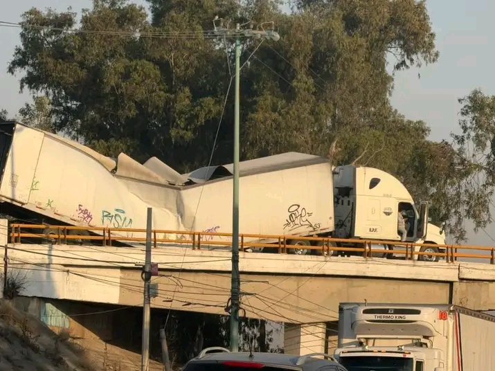 Alerta Vial Mx tweet media