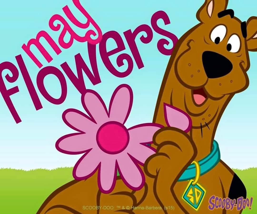 Sherroddaauthor's tweet image. Happy May everyone!!! Let this month be a good month for you all.  #morningglory #blessed #doyou #tooblessedtobestressed