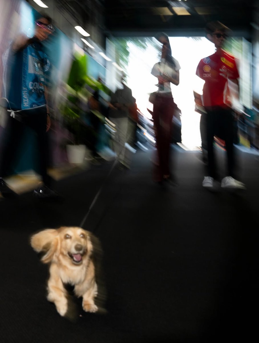 clara tweet media