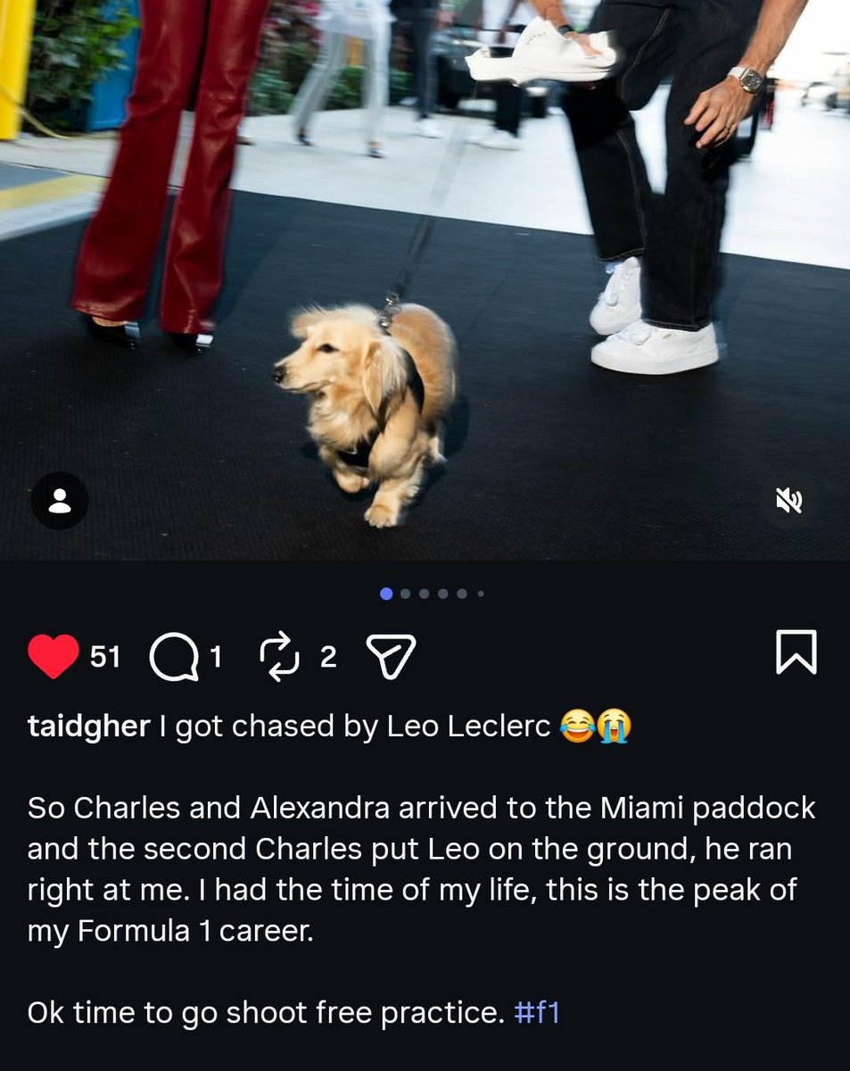 clara tweet media