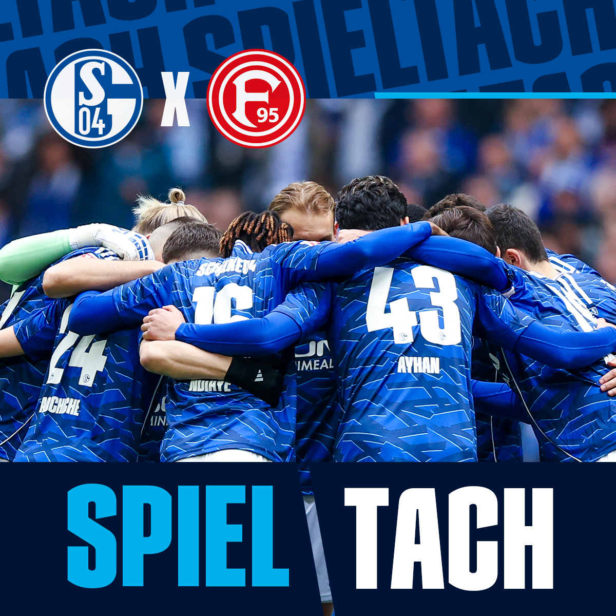 FC Schalke 04 tweet media