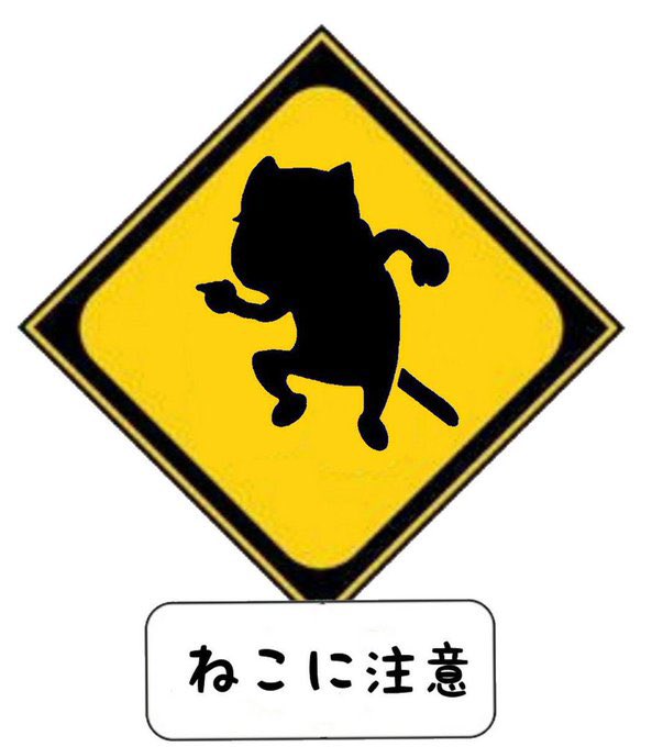 おはえもん🔫 tweet media