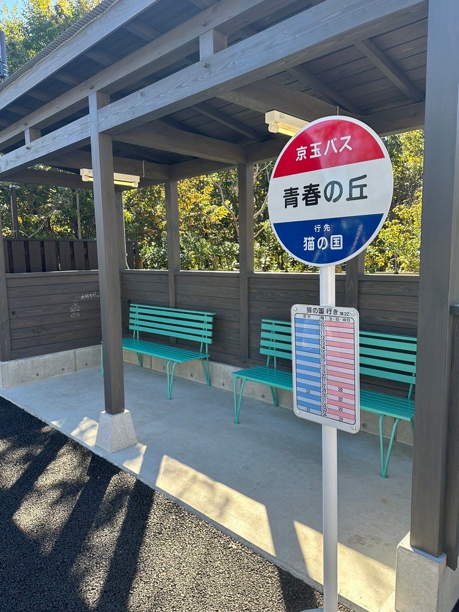 本名陽子☺︎ tweet media
