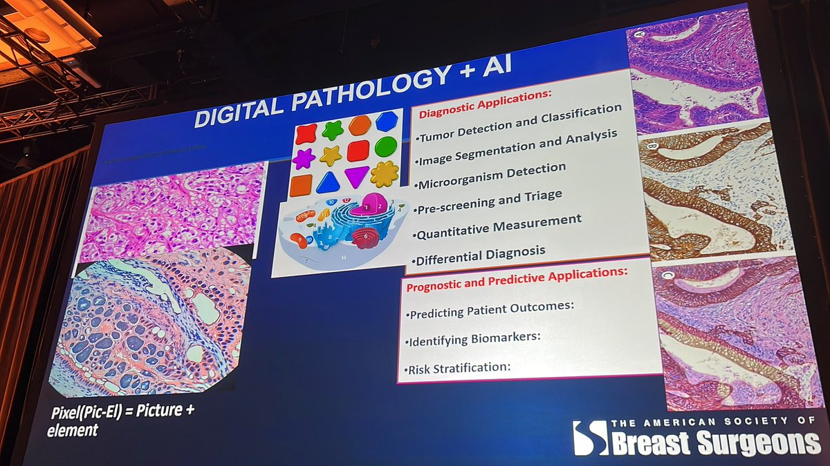SteveCaiMD's tweet photo. Digital path and AI in #breastcancer #asbrs2026 @ASBrS #pixelomics #imagerecognition #discernment @OhioState #pathology https://t.co/bz3eD1oefc