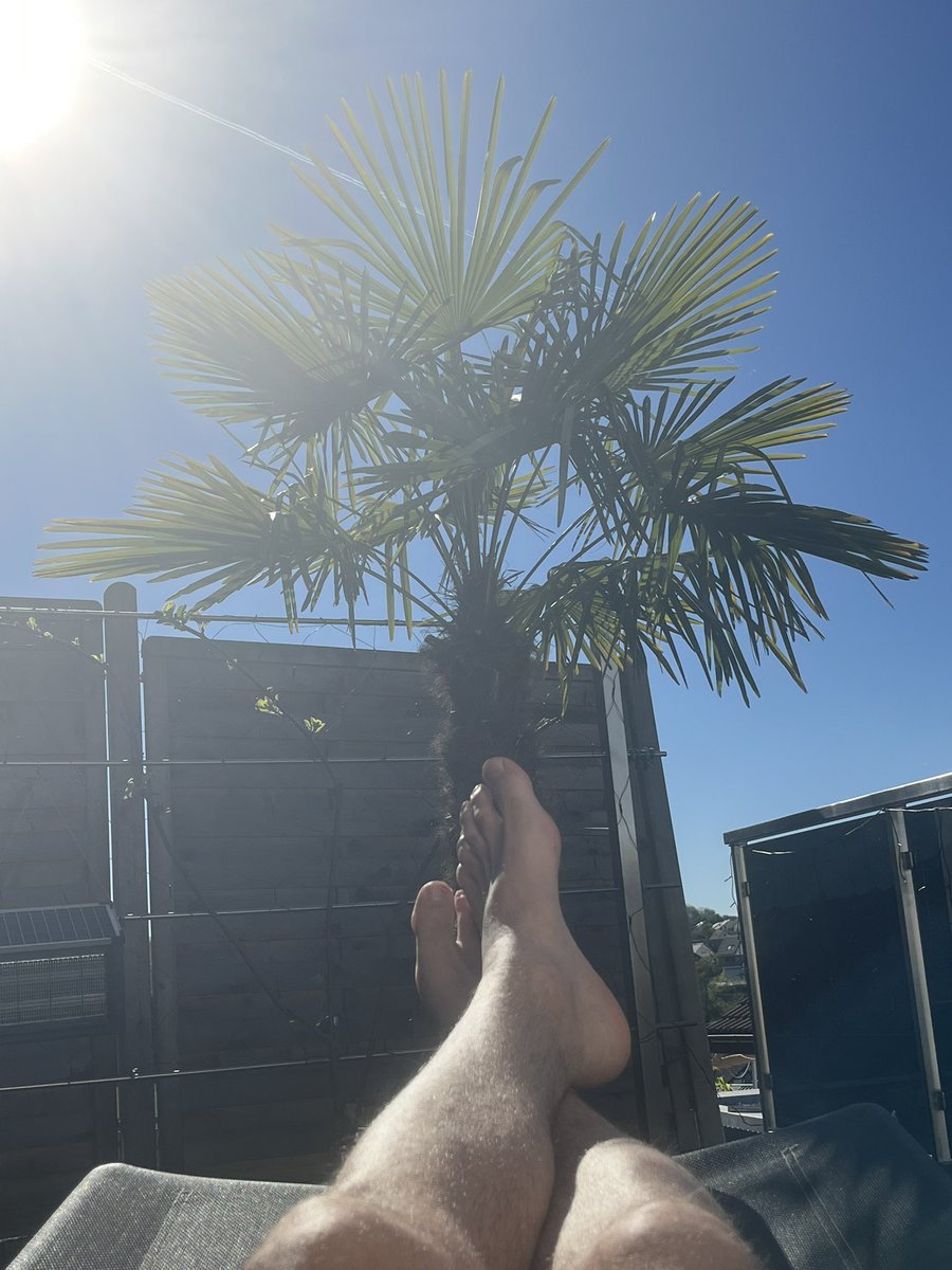 MikesMarketLab's tweet photo. Swapping candlesticks for palm trees today. π΄
Itβs a public holiday, so Iβm moving my focus from the charts to the garden.
-today is for recharging.
Who else is taking a break today?
Drop a βοΈ
#HolidayAlpha #TradingBalance https://t.co/ZbJg1EzQXd