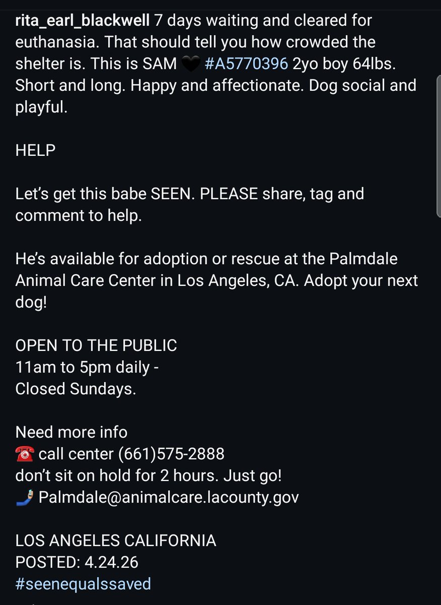 Foster a shelterpet at ZERO COST🐾 tweet media