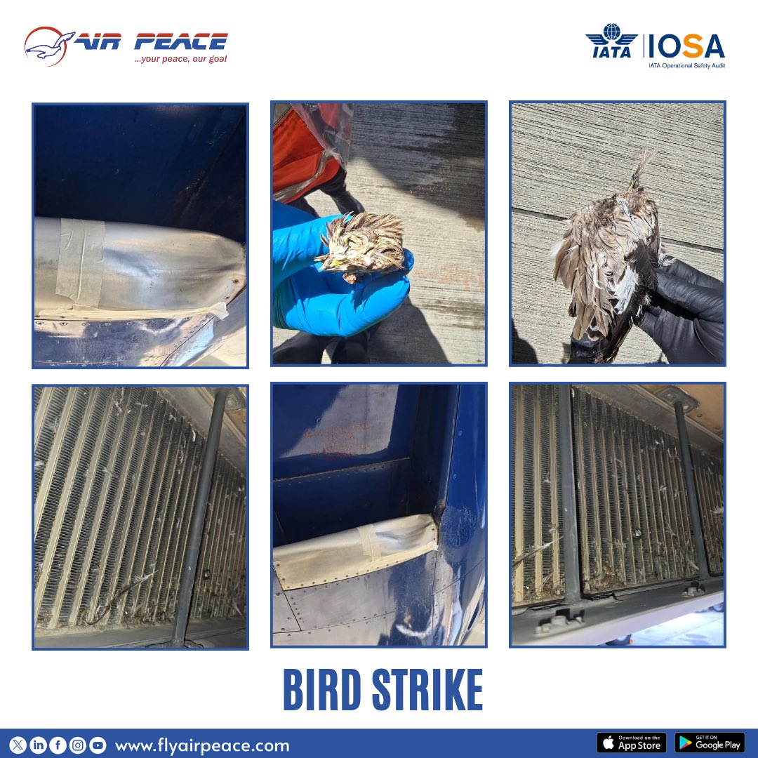 Air Peace tweet media