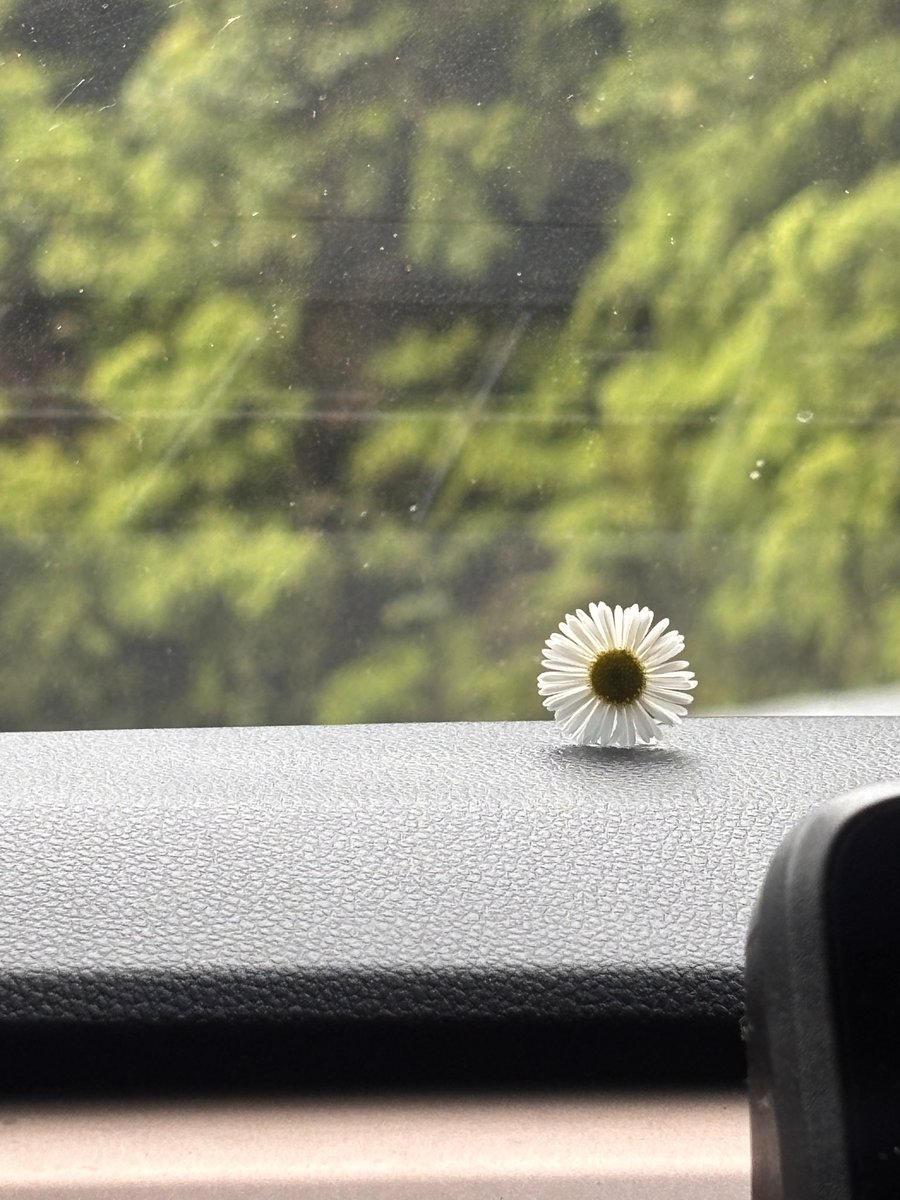 AyeDhanno's tweet photo. Hello Kodai ๐ผ
#ayedhannotravels #kodaikanal https://t.co/sTXOTnGDvf