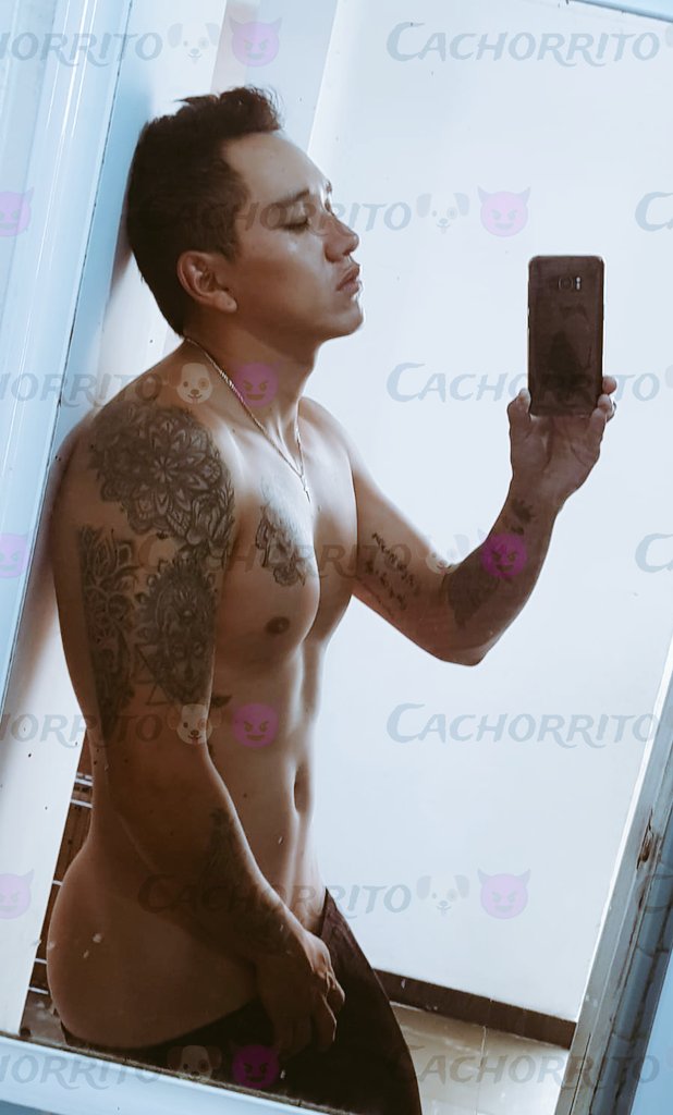 Cachorrito 🐶😈 tweet media