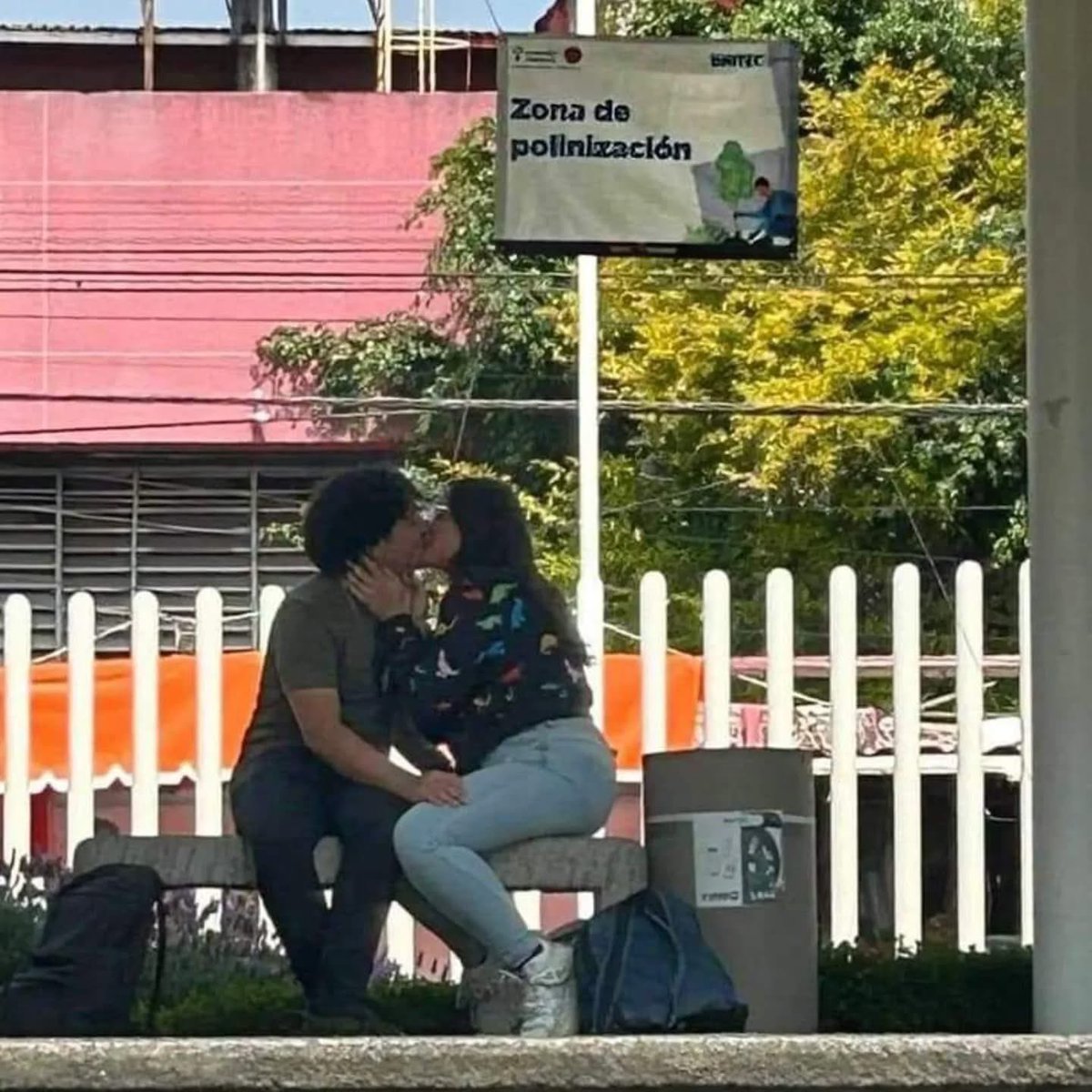 🐶