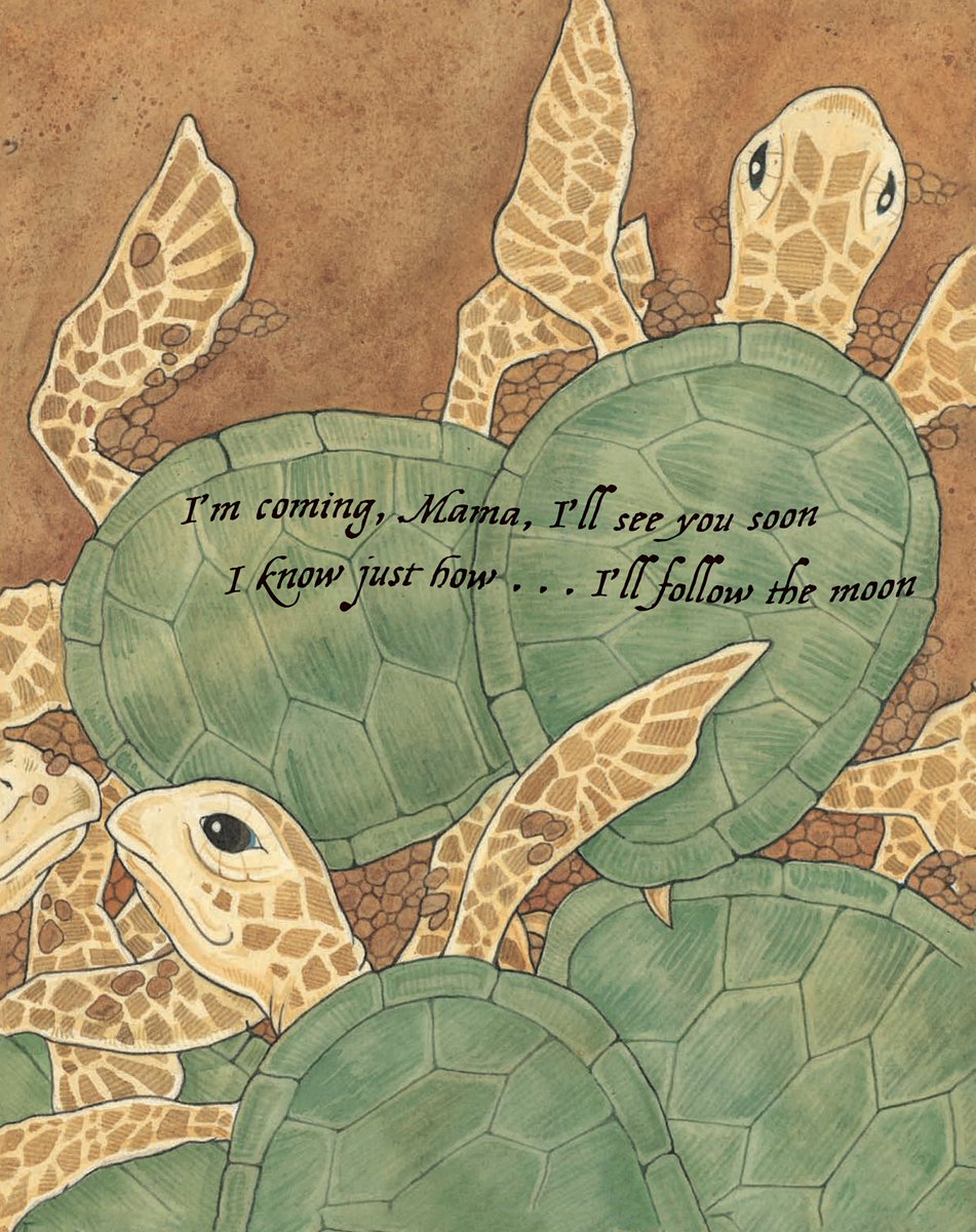 stephanietara's tweet image. 💚BABY SEA TURTLES hatch!💚
🌟Gorgeous watercolors~Kirkus
🌟Triumphant~USAToday
🌟Courageous~SFGate
🌟Onomatopoeia~PW
🌟Sweet~HuffP
🌟Captivates~NYT
🌟Bravo~WWF
🌟Tranquil~ALA
🌟Serenades~NGeo
📚Amazon.com/dp/0989433404
May Day #kidlit #kidlitart #picturebooks #ChildrensBooks