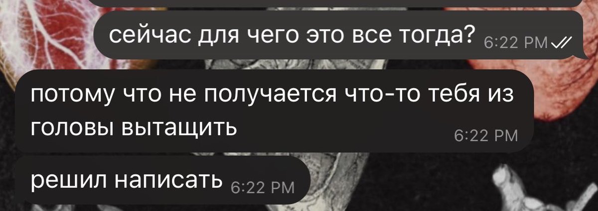 pauline ⊬ 𑣲 ˎˊ˗ tweet media