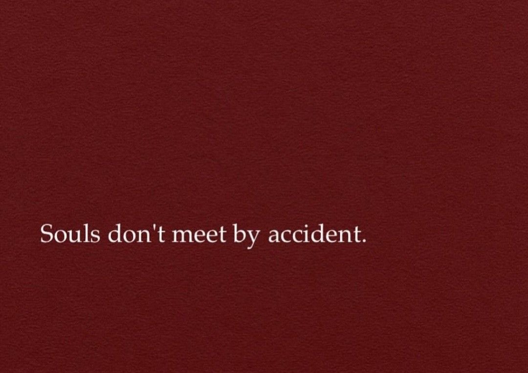 𝐃𝐞𝐚𝐧𝐚 tweet media