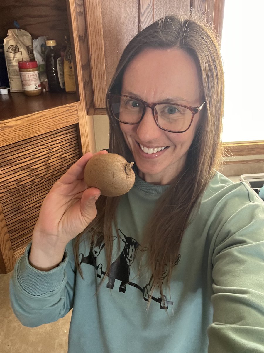 LindsayIRL's tweet image. Bananas get all the love, espc for runners. But don’t forget this potassium powerhouse, the mighty kiwi 🥝 

Packed with vitamins, plus fiber &amp;amp; more good stuff, this underrated fruit is tasty, too!

#marathontraining #running #nutrition #wellness #fitness #goodfood #healthy