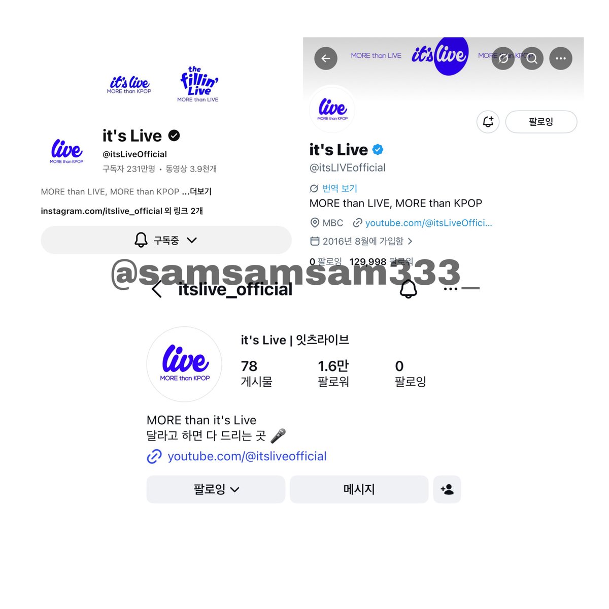 🪽 tweet media