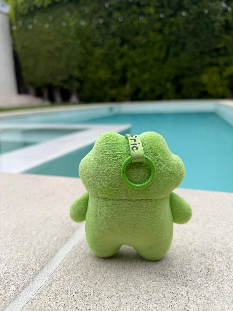 fricthefrog's tweet photo. standing tall https://t.co/2JgsCP2qwM