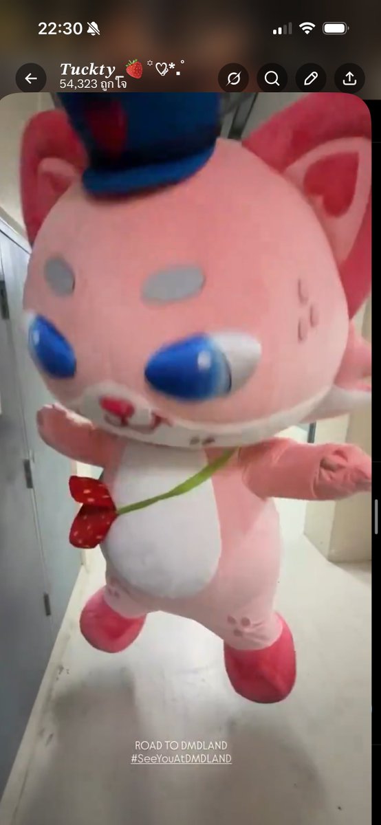 𝑻𝒖𝒄𝒌𝒕𝒚_🍓꙳♡༘*.ﾟ tweet media