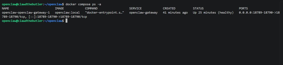 raheem4L's tweet image. just hired a junior DevOps engineer.
24/7. never complains. lives on Azure.

AI agent via OpenClaw: secured with Docker + Tailscale, talks to me on WhatsApp.

no dashboards. no context switching. just chat.

Repo: github.com/r94l/openclaw-…
#DevOps #AI #CloudEngineering