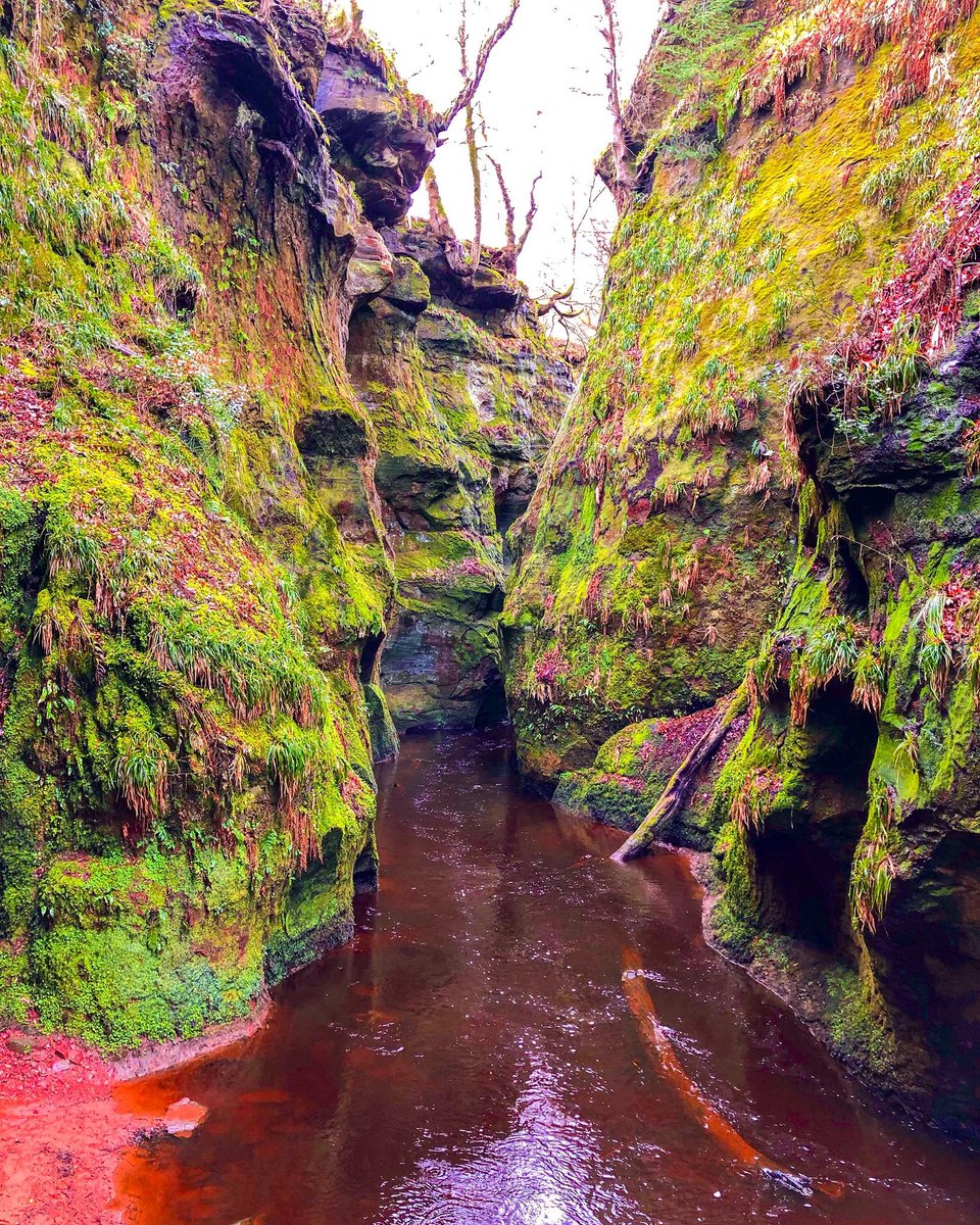 BarssFreddie's tweet photo. The devils Pulpit , Finnich Glen , Stirlingshire also used in Outlander . c.o. A Scots Eye View.🏴󠁧󠁢󠁳󠁣󠁴󠁿 https://t.co/TUmFcSMoU6