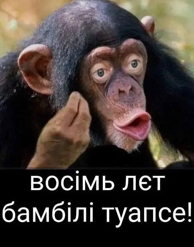 Леся Українка (@lesyaua7evropa) on Twitter photo 