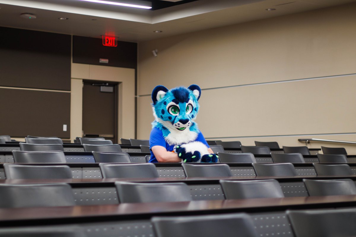 Oasis Cheeto 🔜 FWA, TFS, MP tweet media
